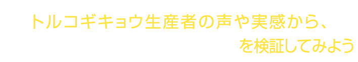 トルコギキョウ生産者の声や実感から、“トルコギキョウ用LED電球”を検証してみよう